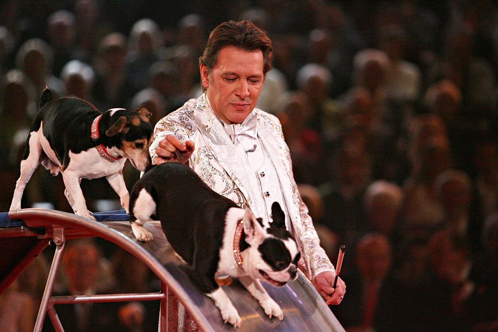 Schauspieler Jan Fedder Mit Haustieren Bei "Stars In Der Manege" Im Circus Krone In München | Quelle: Getty Images