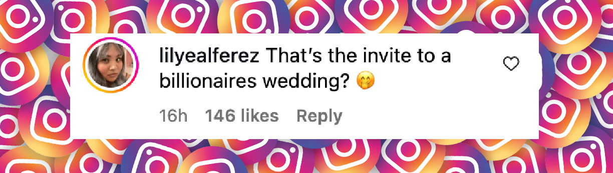 Der Kommentar eines Netizens, datiert auf den 24. Juni 2025 | Quelle: Instagram/tmz_tv