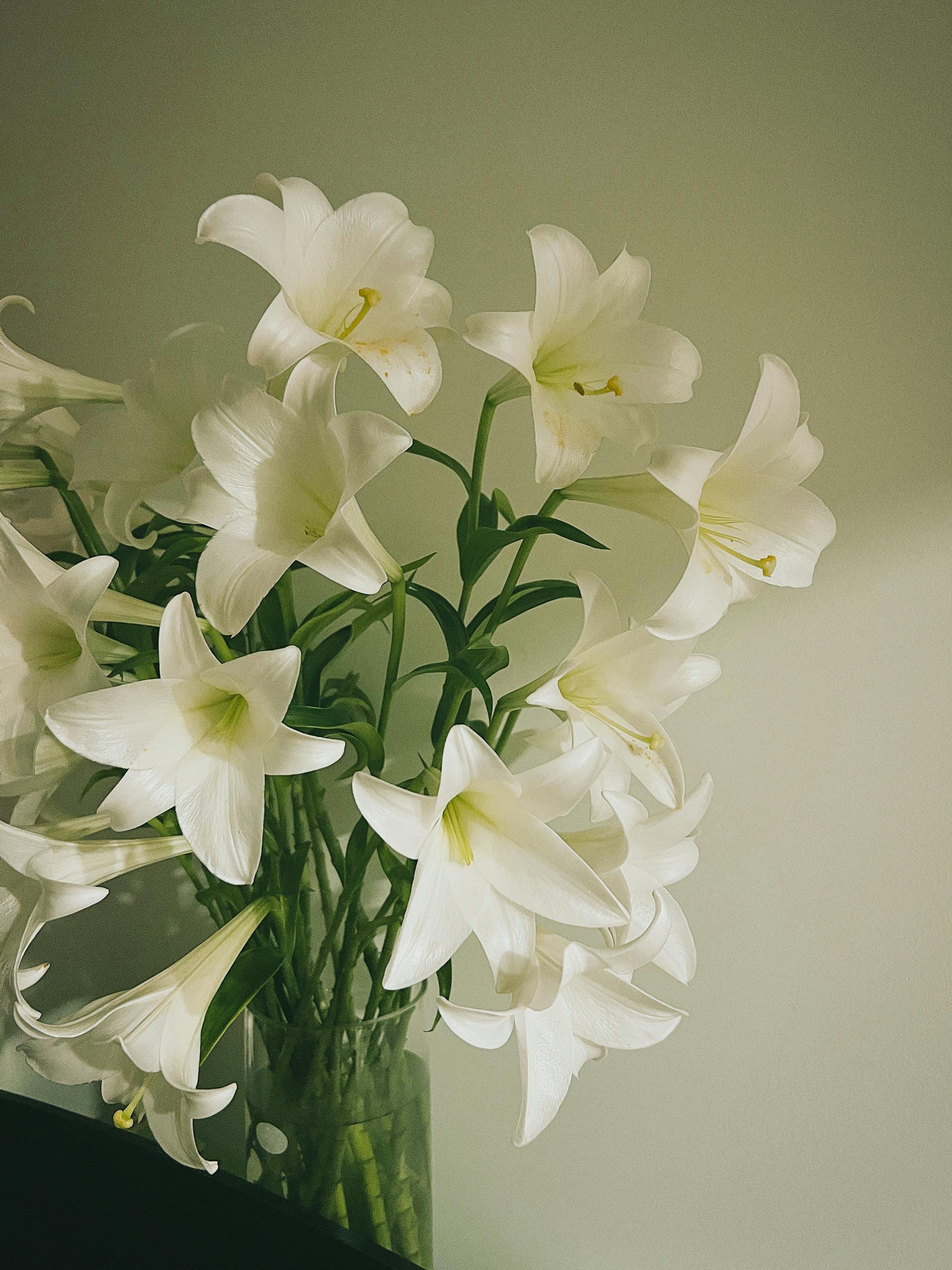 Ein Blumenstrauß aus Lilien | Quelle: Pexels