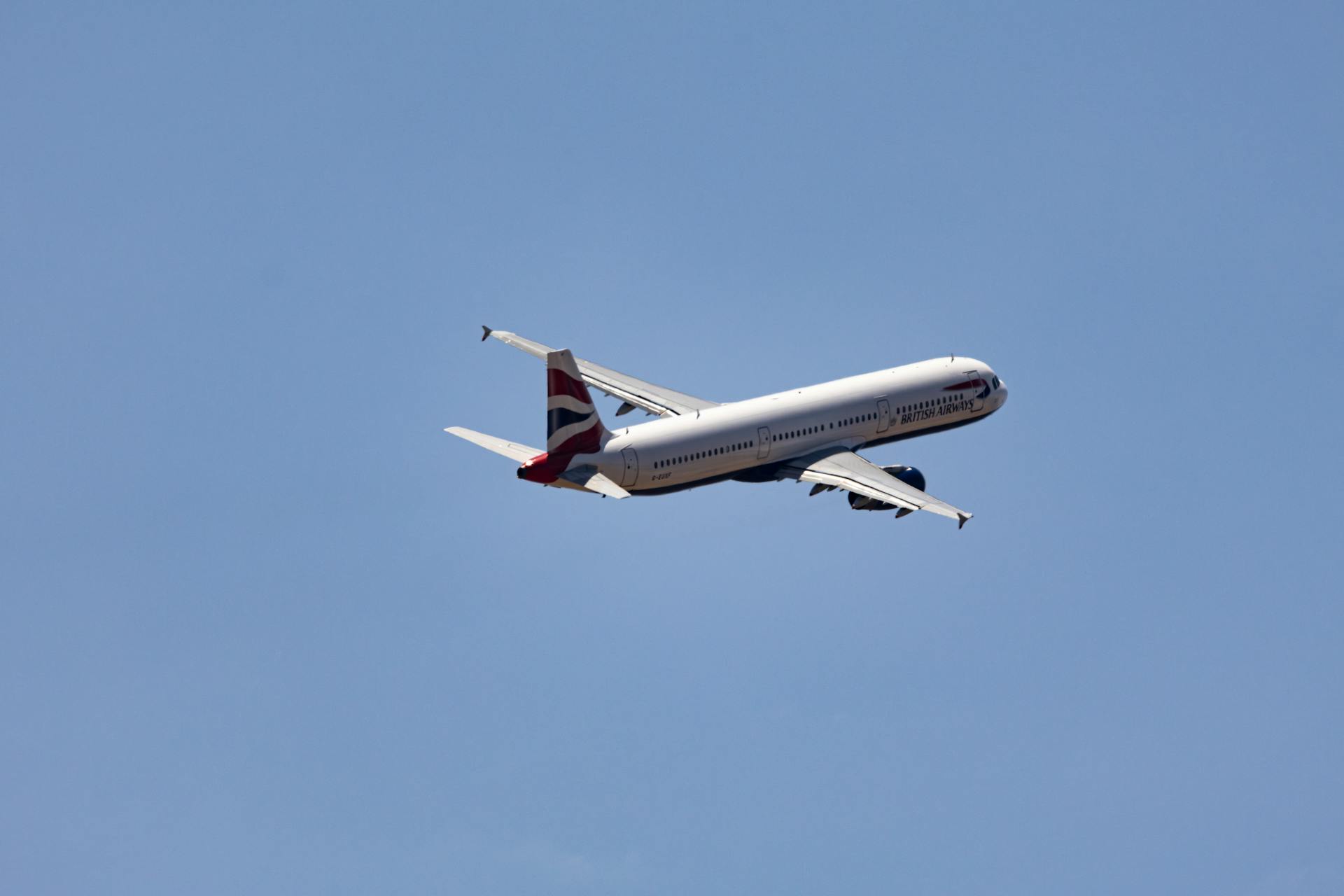 Ein Flugzeug in der Luft | Quelle: Pexels