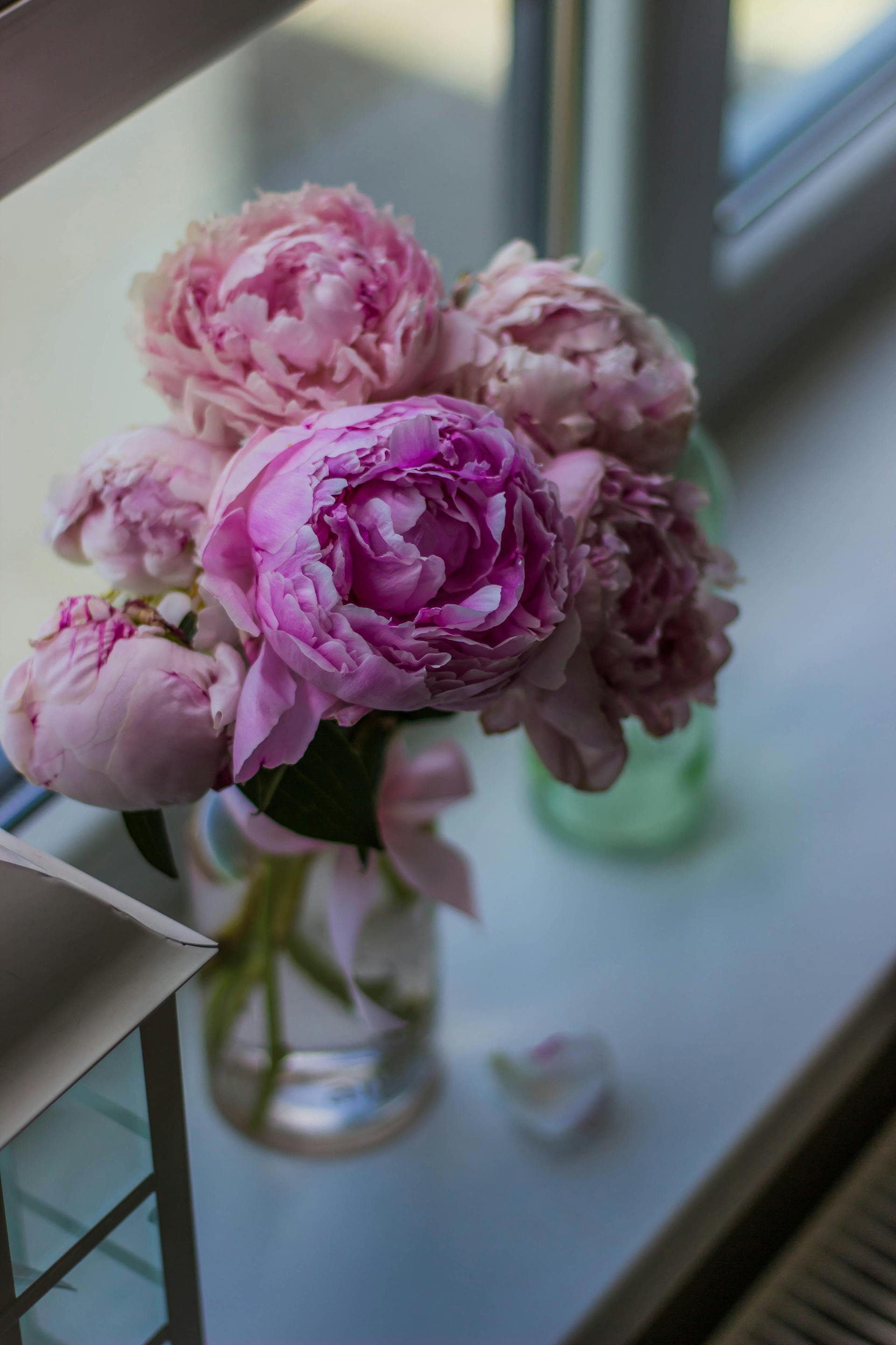 Rosa Blumen in einer Vase vor einem Fenster | Quelle: Pexels