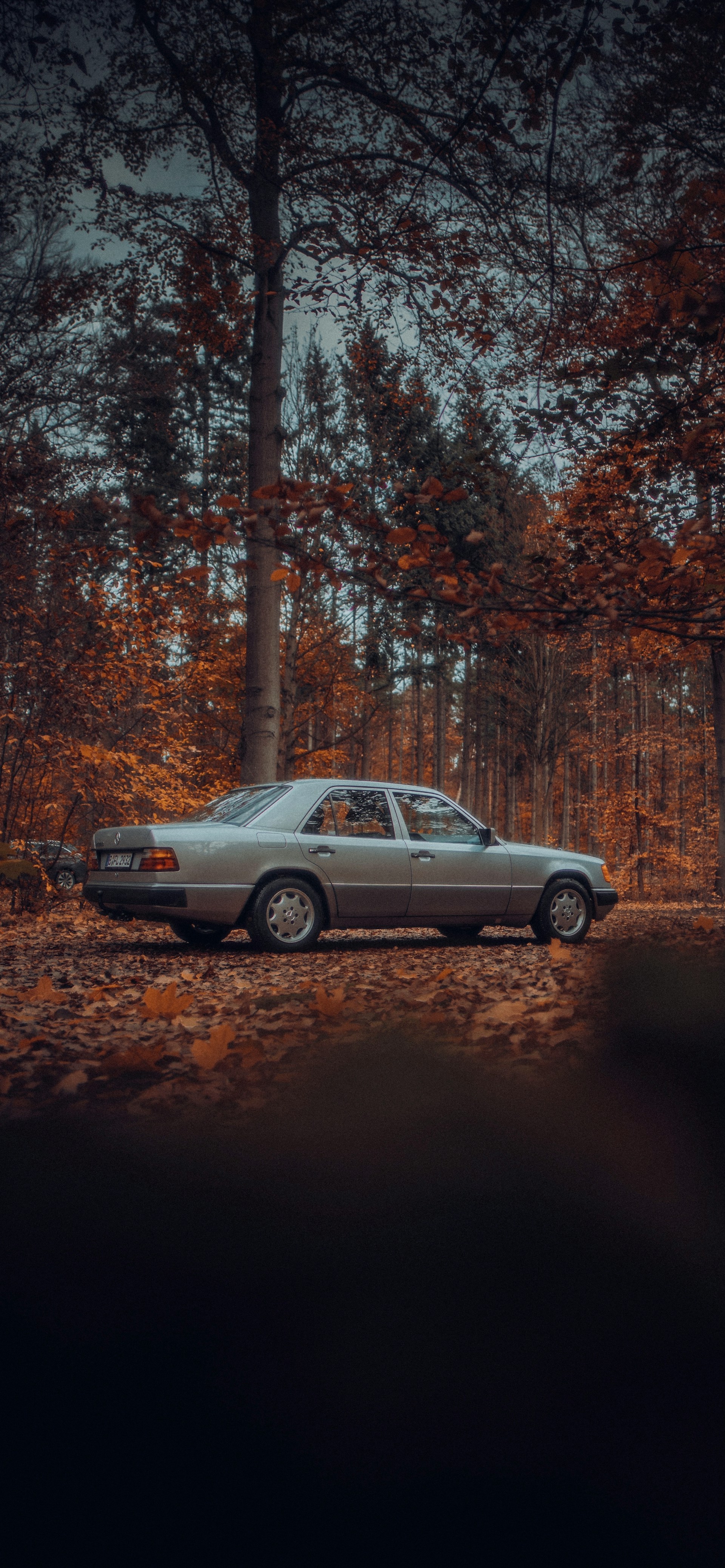 Ein geparktes Auto in einer dichten Landschaft | Quelle: Unsplash