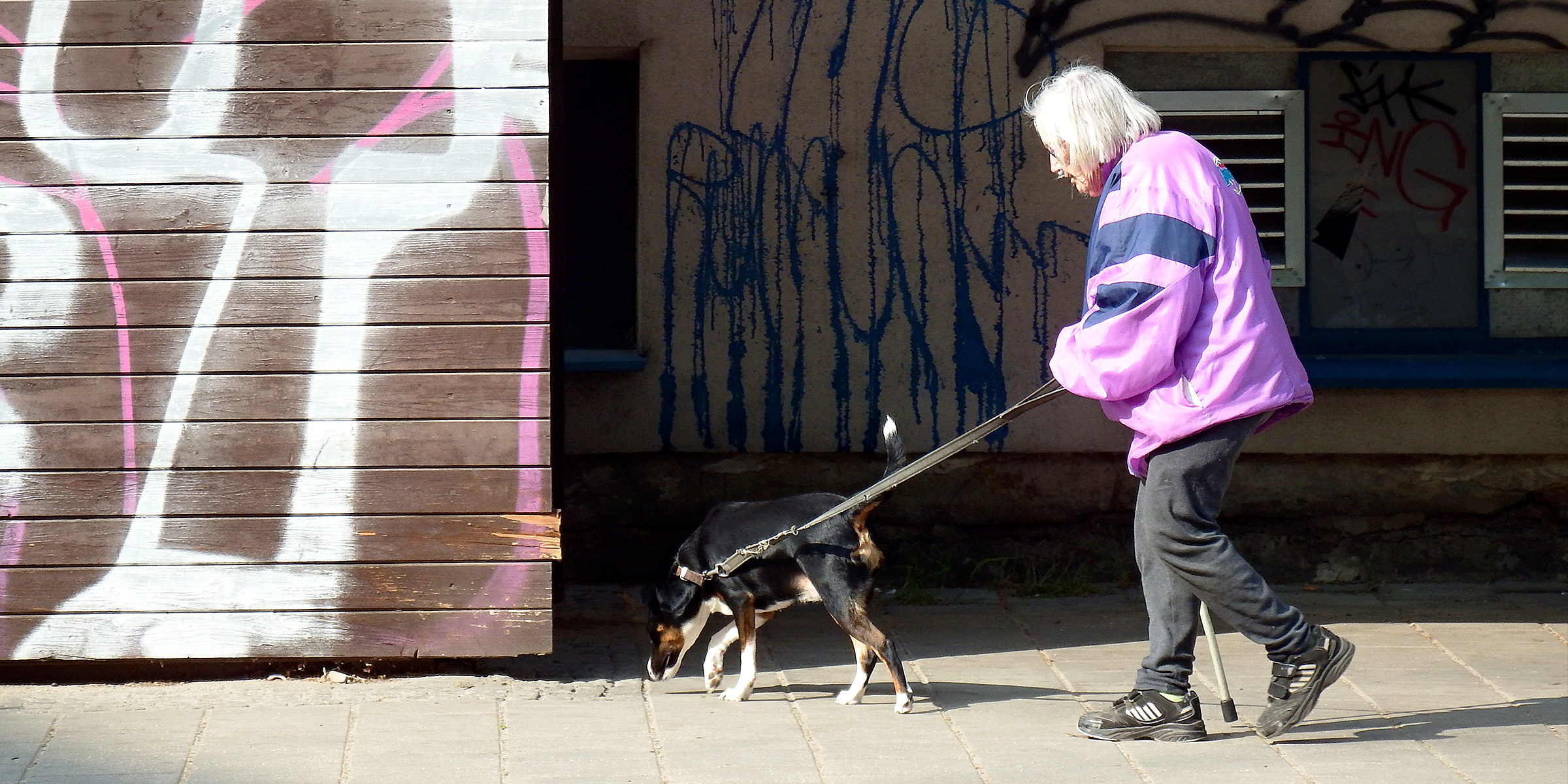 Eine ältere Frau geht mit ihrem Hund spazieren | Quelle: Flickr