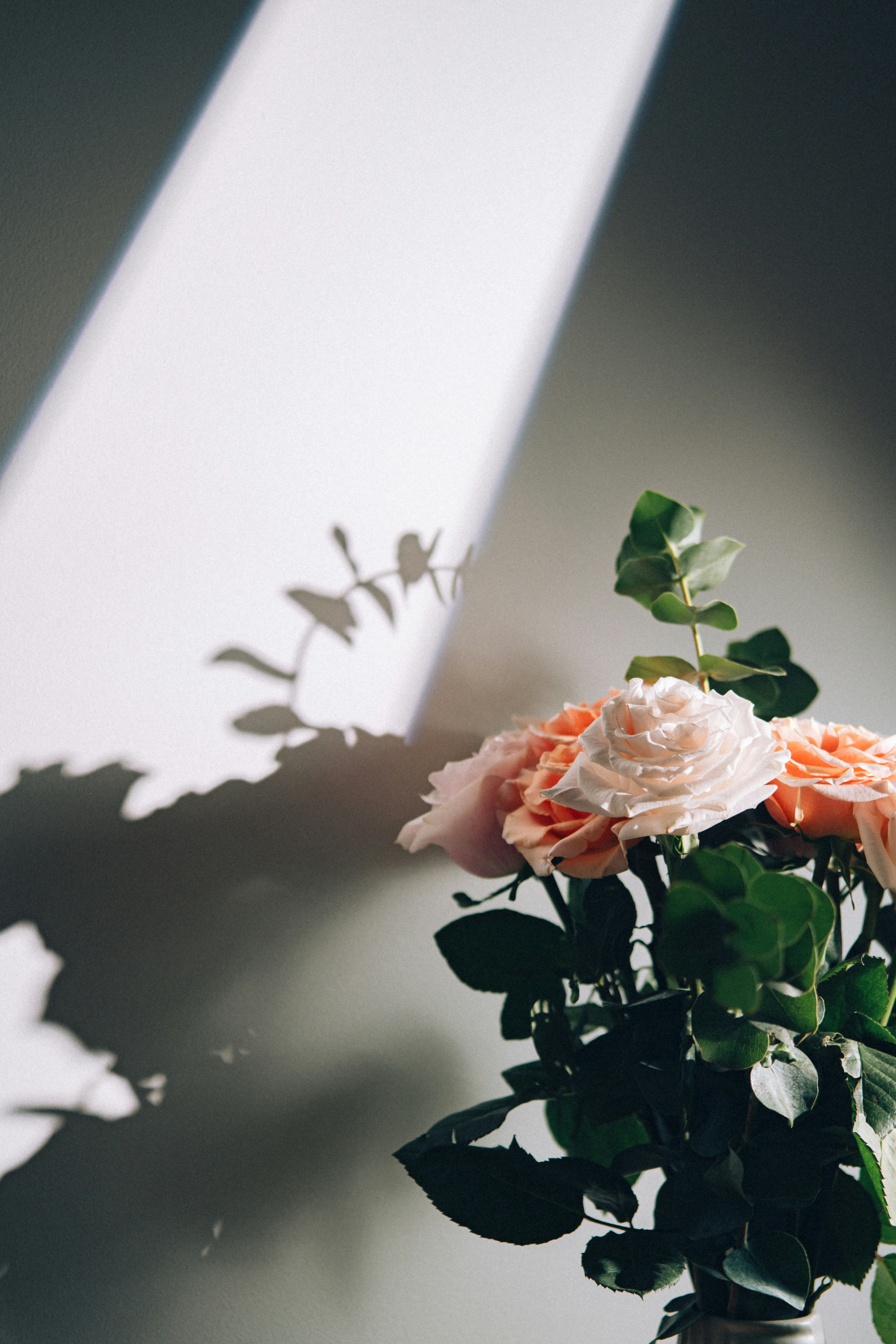 Eine Nahaufnahme eines Blumenarrangements | Quelle: Unsplash