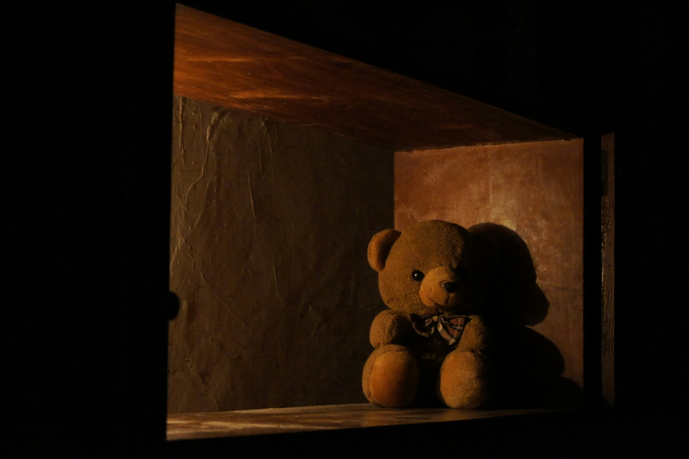 Ein kleiner Teddybär sitzt auf einem Holzregal | Quelle: Unsplash