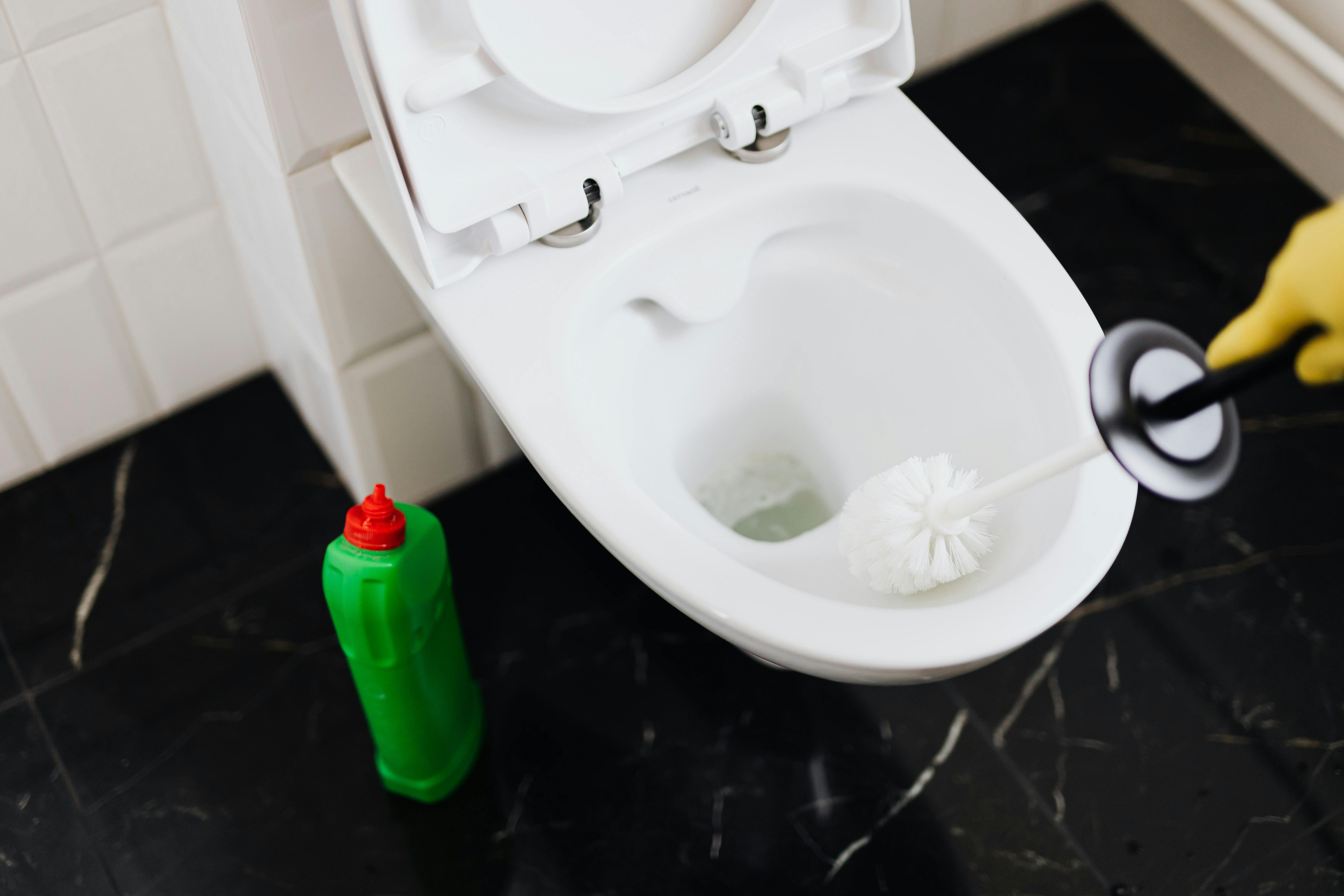 Eine Person beim Reinigen einer Toilette | Quelle: Pexels