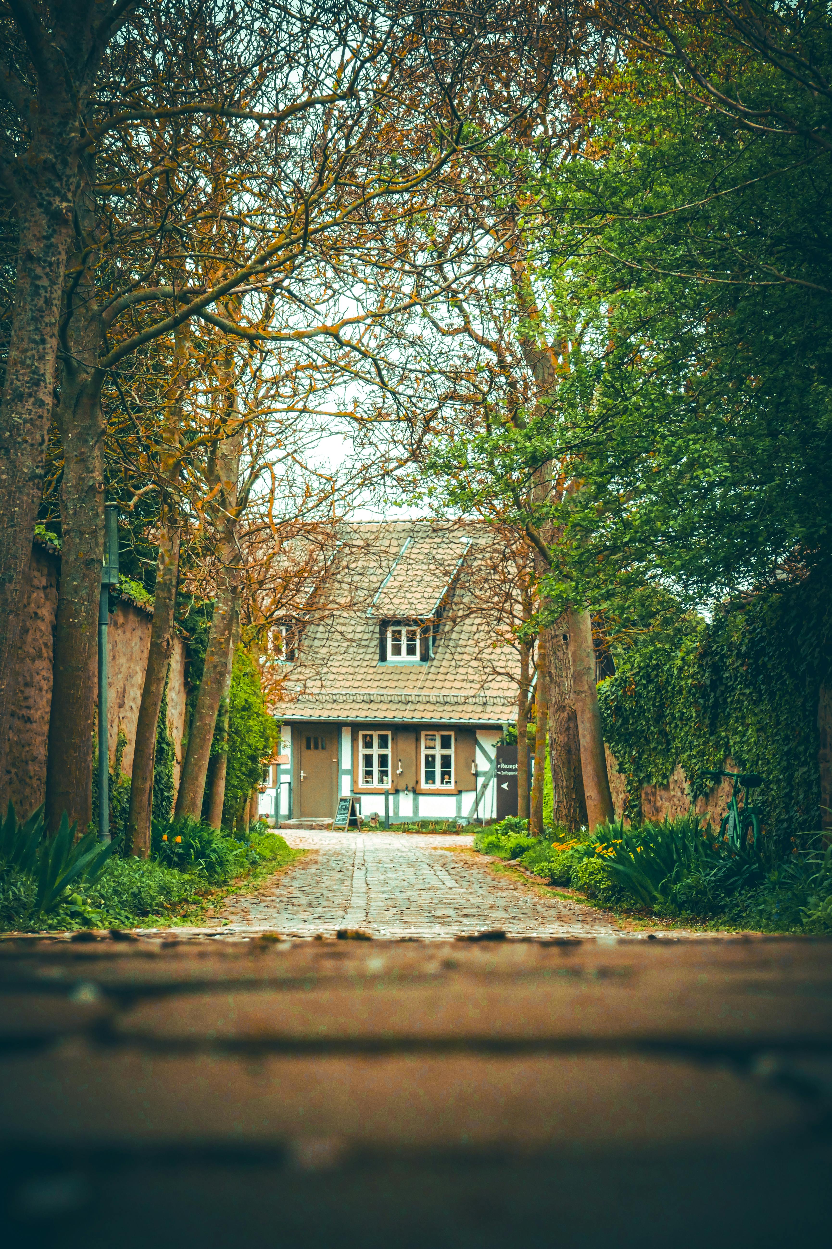 Ein schönes Häuschen in einem ruhigen Dorf | Quelle: Pexels