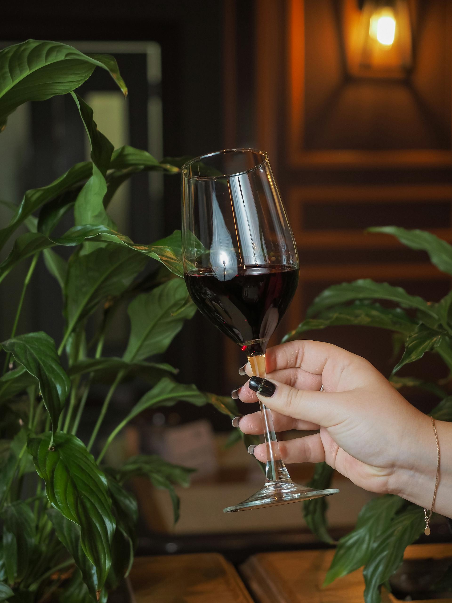 Eine Frau hält ein Glas Wein | Quelle: Pexels