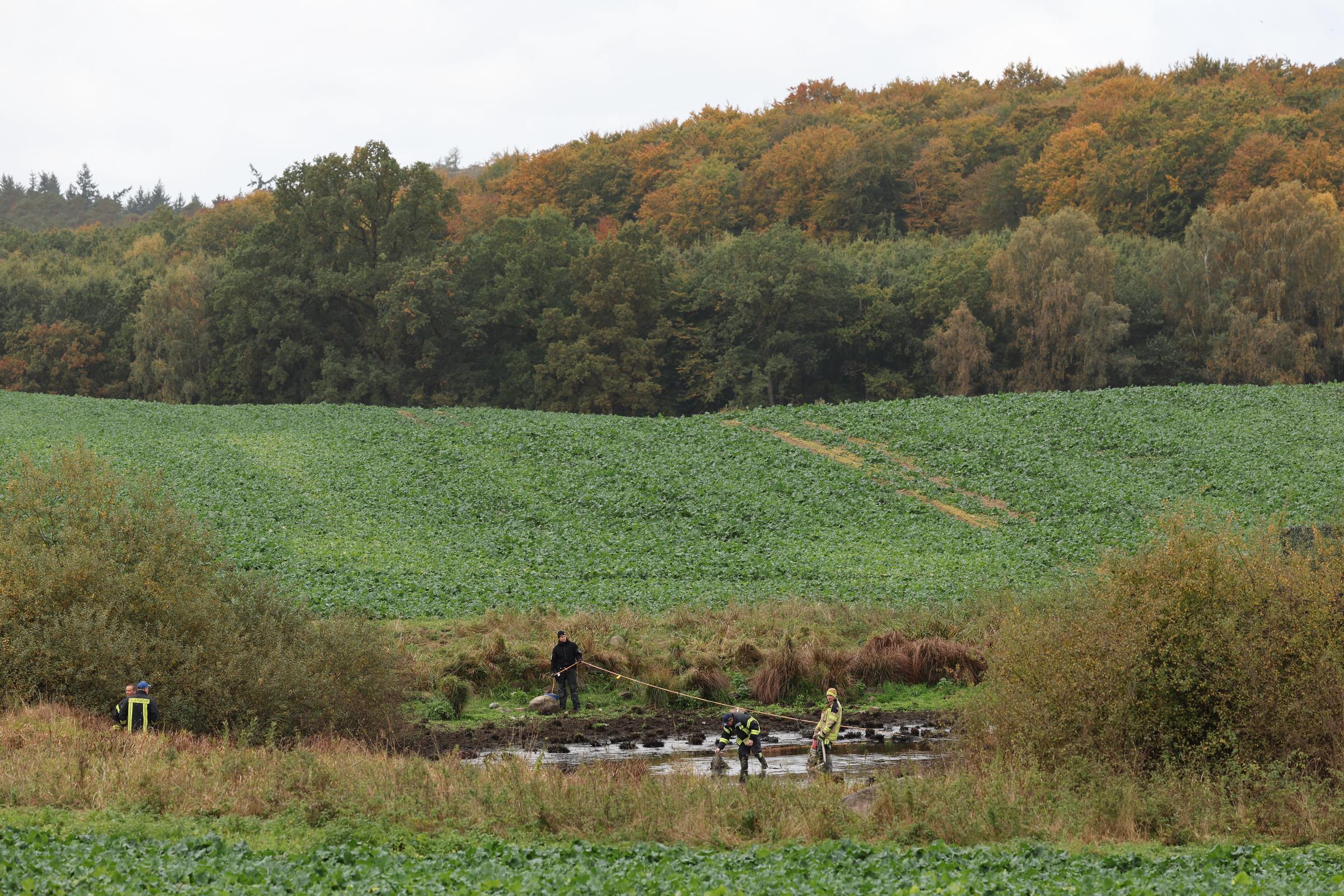 Ermittlungsarbeiten am Fundort der Leiche | Quelle: Getty Images