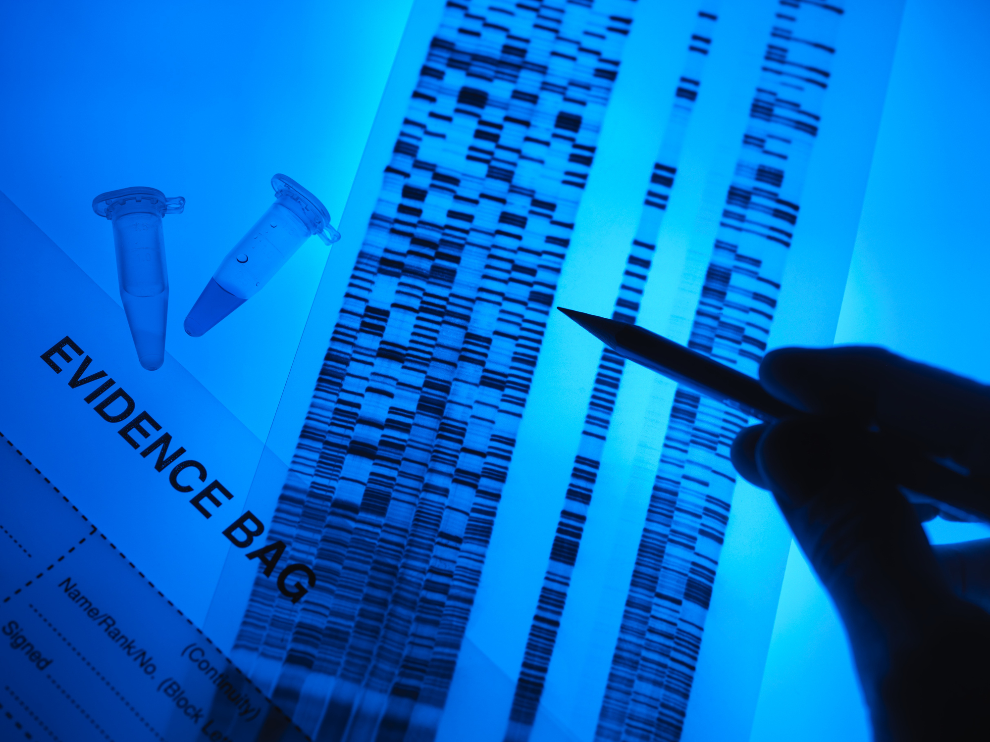 Forensische Beweise | Quelle: Getty Images