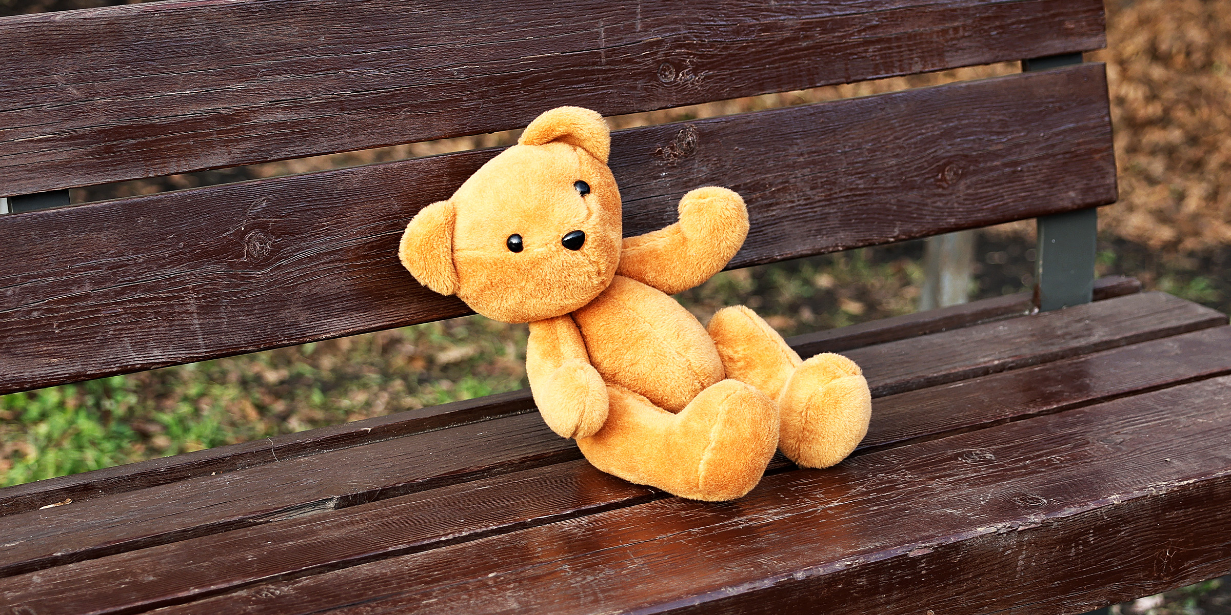 Ein Teddybär auf einer Bank | Quelle: Shutterstock