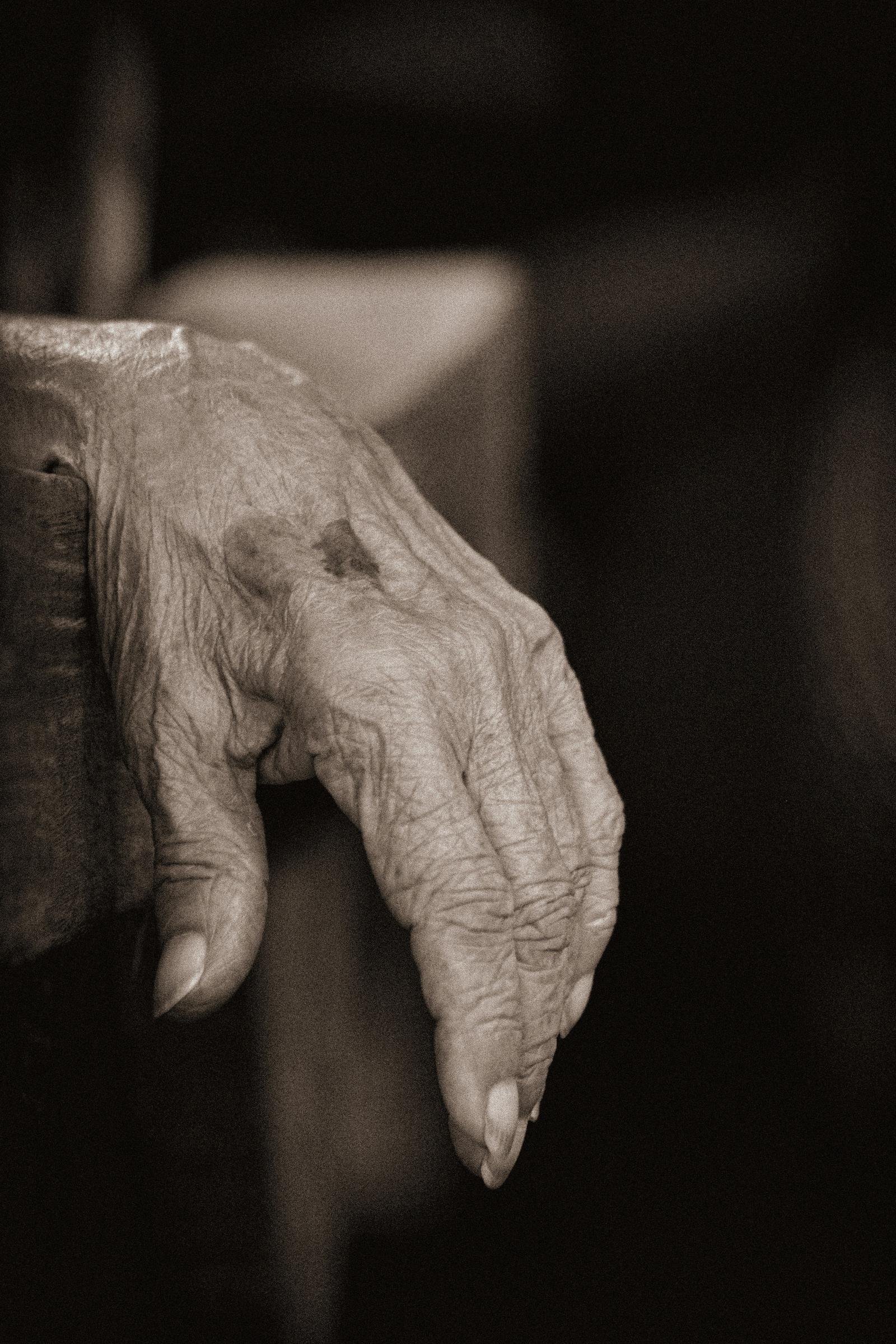 Die Hand eines alten Menschen | Quelle: Unsplash