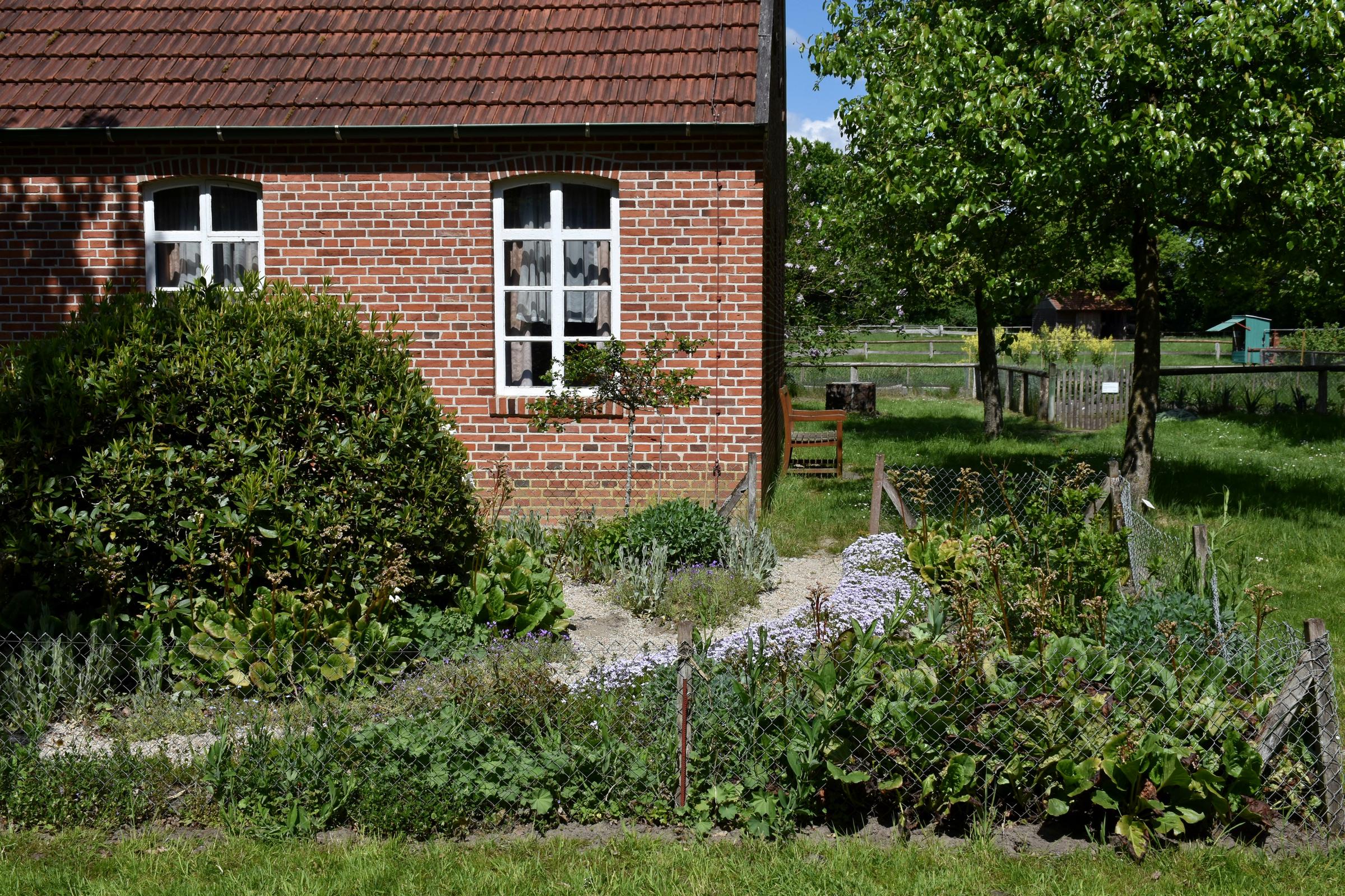 Ein Gemüsegarten | Quelle: Unsplash