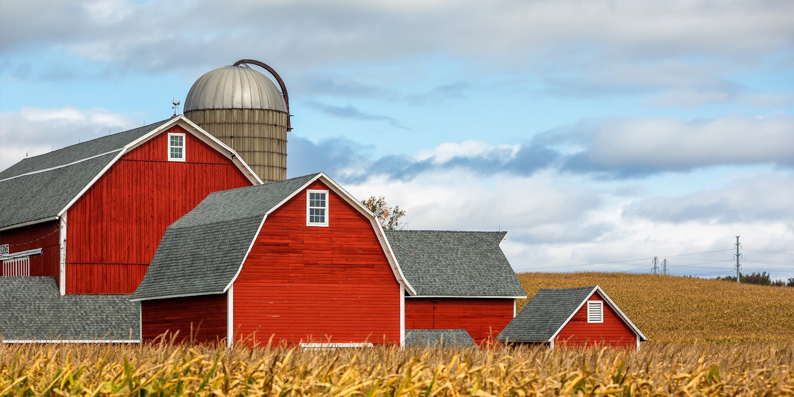 Ein Bauernhof | Quelle: Shutterstock