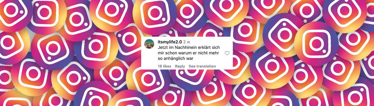Nutzer zeigt sich nicht überrascht über die Trennung | Quelle: Instagram/bauersuchtfrau.de