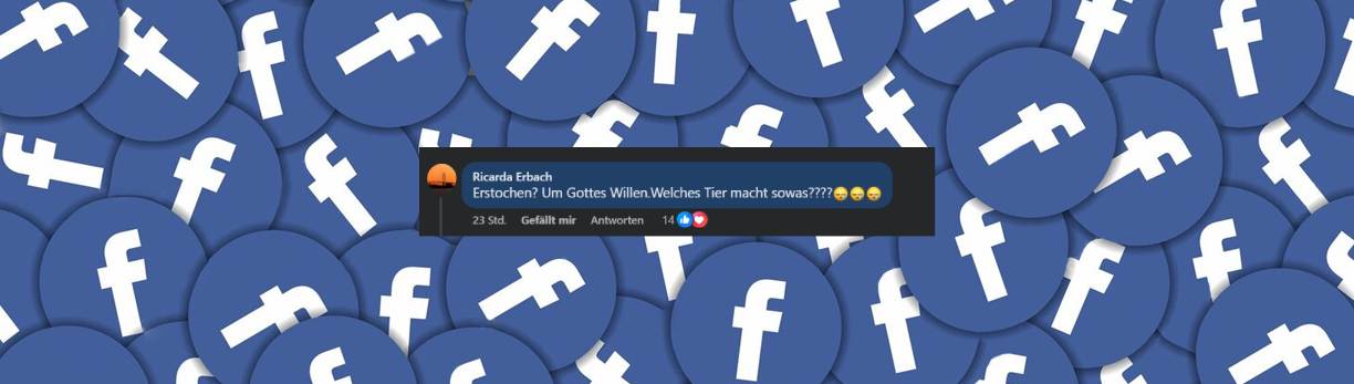 Schockierter Nutzer drückt seine Fassungslosigkeit aus | Quelle: Facebook/Blaulicht-Reporter Rostock