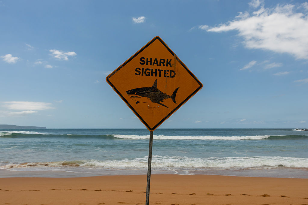 Symbolbild  | Quelle: Getty Images