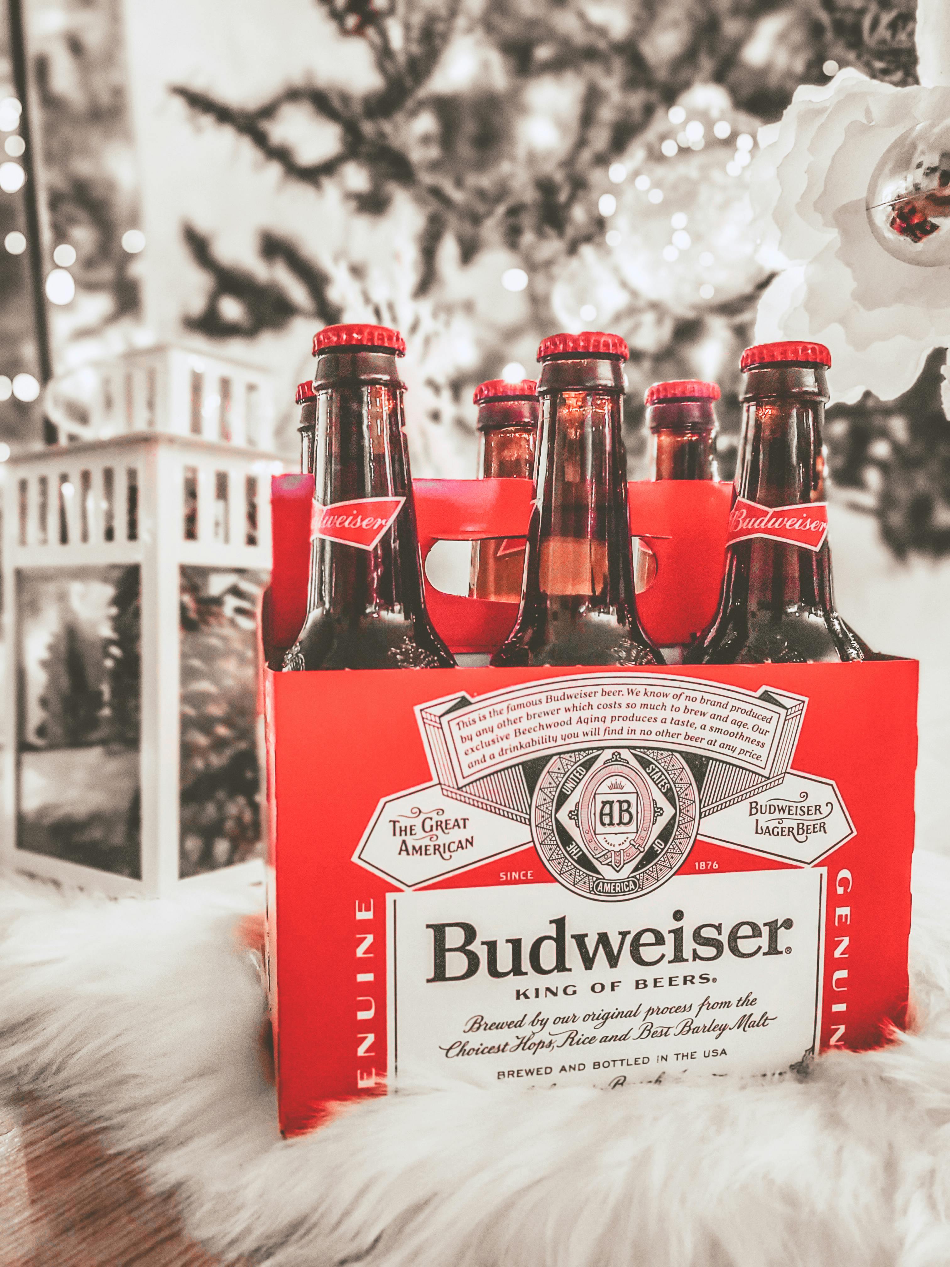 Ein Sechserpack Bier | Quelle: Pexels