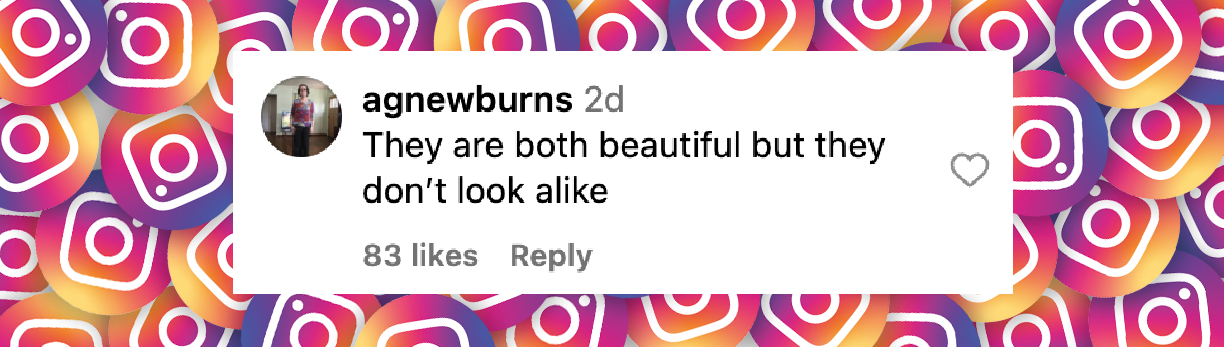 Der Kommentar eines Netizens zum Auftritt von Heidi und Leni Klum in New York City im Mai 2025 | Quelle: Instagram/people